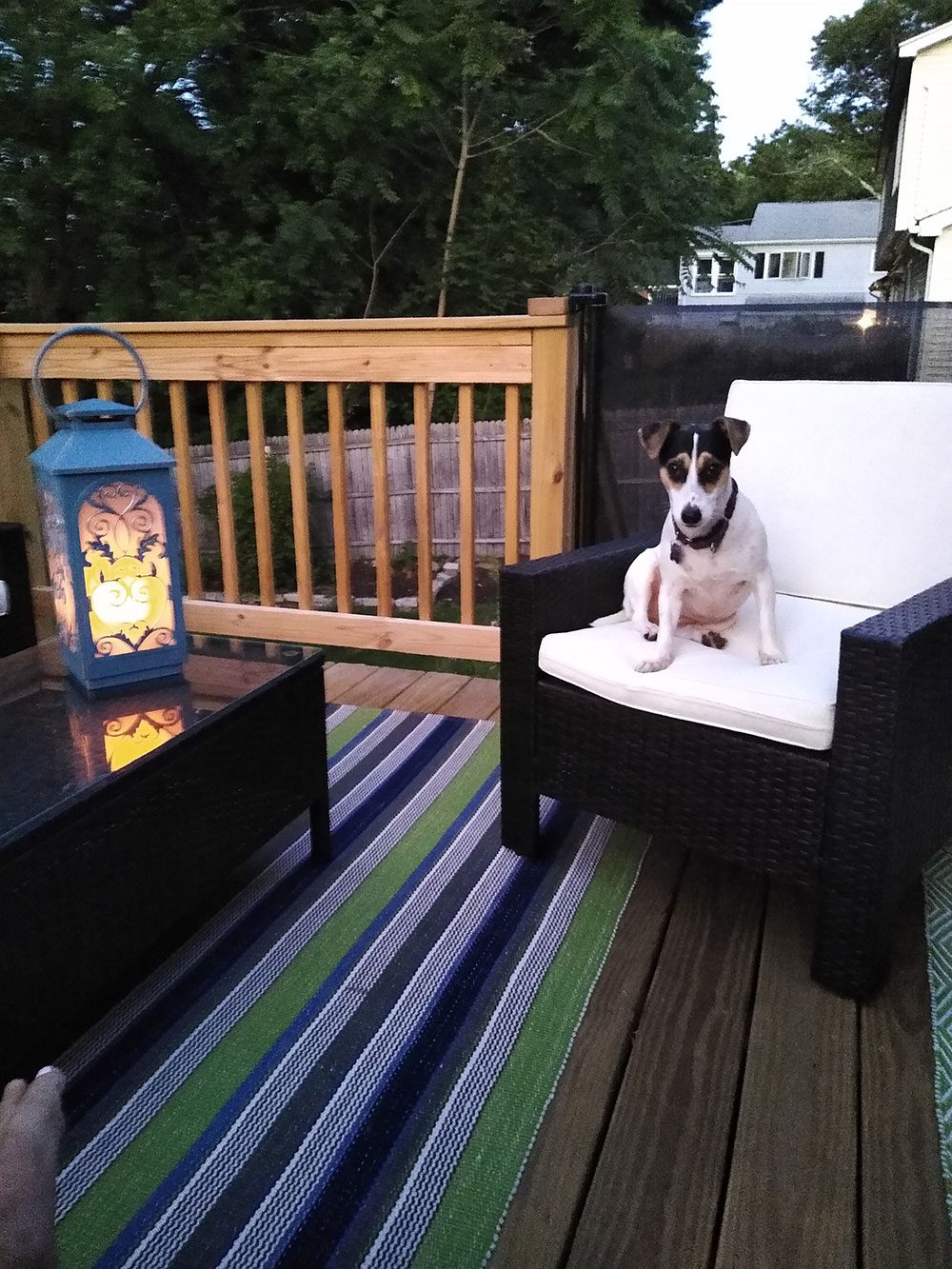 Decorative Lighting | Patio Lighting