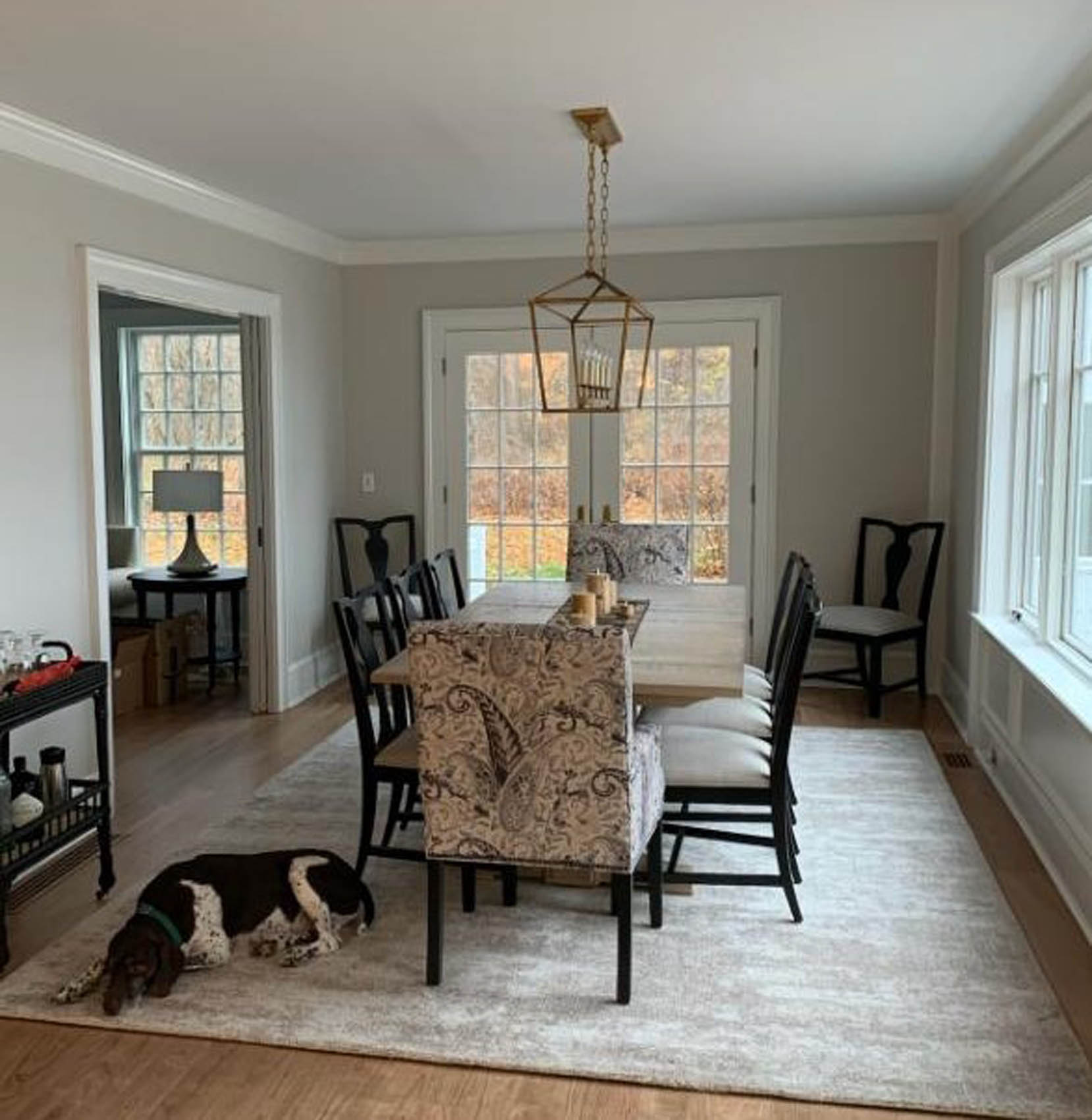 another dog with darlana